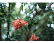 [Photobook] うたたね翠と一泊二日の沖縄旅行へ行ってきました (wunder publishing house)