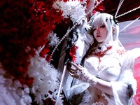 [Cosplay] 星之迟迟 2024年01月计划A 无期迷途 可可莉克 [43P-300MB]