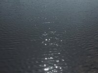 [Photobook] つなまよ 1st e-book ふたり、恋に落ちた季節 (wunder publishing house)