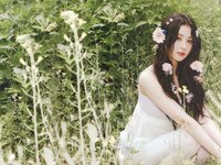 [Photobook] 2023.08.31 DICON ISSUE N°14 (LE SSERAFIM)