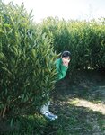 [anan (アンアン)] 2019年12月11日号