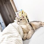 [Fantia] 2024年03月 眼酱大魔王w [38P3V-326MB]