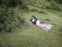 [Cosplay] Nekokoyoshi 爆机少女喵小吉 - Byleth Eisner