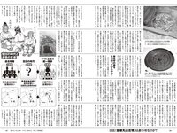 [Weekly Playboy] 2024 No.18 (尾木波菜 由良ゆら 池田レイラ 坂巻有紗 井手美希 上杉真央 アンジーひより 河内裕里 他)