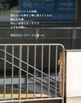 [Photobook] 恋物語〜AUTUMN〜 吉良りん【ヘアヌード写真集】