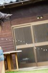 [Photobook] 2023.08.25 鎮目のどか　サマー・ミューズ　ｖｏｌ．２　大ボリューム１１７ページ豪華版　ＦＲＩＤＡＹデジタル写真集