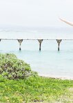 [Photobook] 2024.01.31 【デジタル限定】志田音々 写真集 『 ねぇね～ - Another Edition - 』 (ワニブックス デジタル写真集)