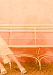 [Photobook] 2024.01.31 【デジタル限定】志田音々 写真集 『 ねぇね～ - Another Edition - 』 (ワニブックス デジタル写真集)