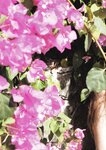 [Photobook] 周韦彤Cica 写真集「Cica loves YOU！」