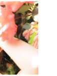 [Photobook] Miria Watanabe 渡辺みり愛 1st Photobook - Negative Gorgeousness 消極的な華やかさ (2021-08-31)