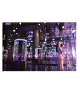 [Photobook] Miria Watanabe 渡辺みり愛 1st Photobook - Negative Gorgeousness 消極的な華やかさ (2021-08-31)