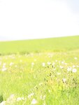 [Photobook] Miria Watanabe 渡辺みり愛 1st Photobook - Negative Gorgeousness 消極的な華やかさ (2021-08-31)