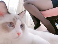 [Cosplay] miko酱ww miko 黑丝01