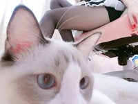 [Cosplay] miko酱ww miko 黑丝01