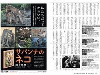 [Weekly Playboy] 2021 No.16 (沢口愛華 森日菜美 澄田綾乃 高崎かなみ 霧島聖子 東出薫 天使もも 他)