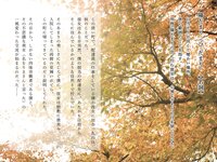 [Photobook] ひだまりの中で 望月りさ ヌード写真集