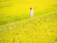 [Photobook] 笹倉杏 ヌード写真集「吐息」(PRESTIGE)
