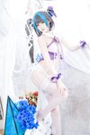 [Cosplay] 封疆疆v 柴郡