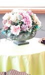 [Photobook] 2022.04.18 【デジタル限定】頓知気さきな写真集「コンプライアンス」 週プレ PHOTO BOOK