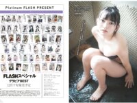 Platinum FLASH vol.24