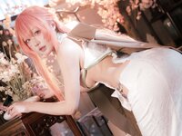 [Cosplay] 阿包也是兔娘 碧蓝航线 英仙座旗袍