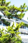 [Photobook] うみに溺れて 及川うみ【グラビア写真集】