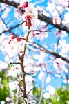[Photobook] うみに溺れて 及川うみ【グラビア写真集】