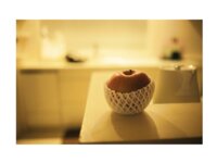 [Photobook] 羽田野栞 デジタル写真集『生活』(wunder publishing house)