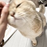 [Fantia] 2024年04月 眼酱大魔王w [50P2V-379MB]