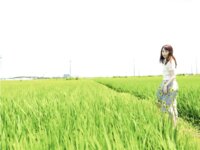 [Photobook] 七瀬アリス グラビア写真集 Alice in Wonderland