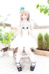 [Cosplay][Aki Love あきラブ] Akira Itsuki 五木あきら - Taso Kotori ことりたそ