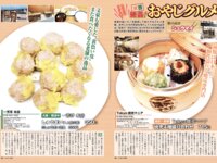 月刊グラビア週刊アサヒ芸能 2024年4月号