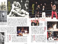 [Weekly Playboy] 2024 No.23 (豊田萌絵 みりちゃむ 阿部なつき 鈴原すず 和内璃乃 里仲菜月 野澤彩華 花雨 他)