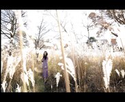 [Photobook] 街山みほ デジタル写真集 Scarlet