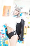 [Cosplay][Harmonytzsche] Nawo なを。- シロコがいっぱいこれくしょん