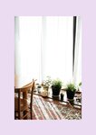 [Photobook] 八木奈々 デジタル写真集 とられち(No Watermark)