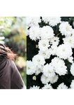 [Photobook] 八木奈々 デジタル写真集 とられち(No Watermark)