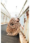 [Photobook] 山岸逢花 デジタル写真集 とられち(No Watermark)