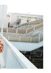 [Photobook] 山岸逢花 デジタル写真集 とられち(No Watermark)