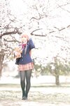 [Cosplay] 星之迟迟 邻家的天使同学