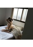 [Photobook] 小倉七海 デジタル写真集 とられち(No Watermark)