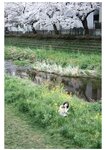 [Photobook] 小倉七海 デジタル写真集 とられち(No Watermark)