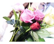 [Photobook] 真野ゆりあ 生誕写真集 Birthday Pink (wunder publishing house)