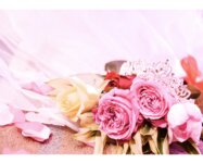 [Photobook] 真野ゆりあ 生誕写真集 Birthday Pink (wunder publishing house)