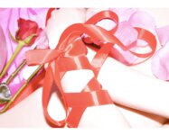 [Photobook] 真野ゆりあ 生誕写真集 Birthday Pink (wunder publishing house)