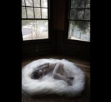FRIDAYデジタル写真集 フミカ フミカのミワク vol.1