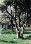 [Photobook] 七ツ森りりデジタル写真集 とられち(No Watermark)