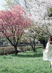 [Photobook] 七ツ森りりデジタル写真集 とられち(No Watermark)