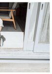 [Photobook] 七ツ森りりデジタル写真集 とられち(No Watermark)