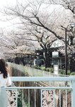 [Photobook] 七ツ森りりデジタル写真集 とられち(No Watermark)